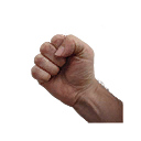 Poings dans ROTK (icône du jeu)